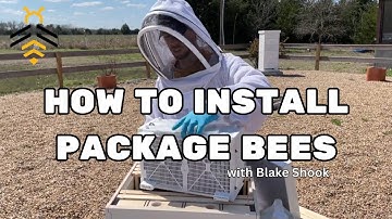 BEEKEEPING: How to Installing a Package of Bees with Blake Shook