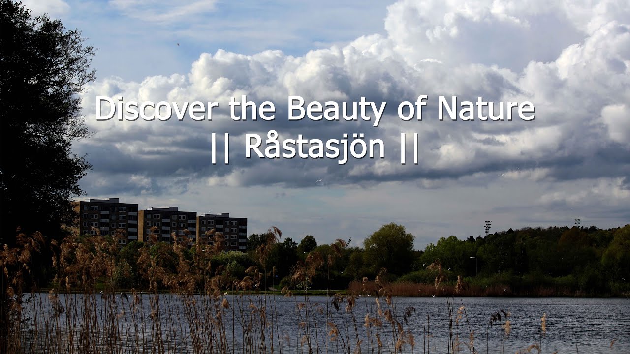 Discover the Beauty of Nature || Råstasjön || Solna || Stockholm ...