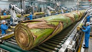 Inside the World’s Largest High-Tech Banana Stem Fiber Factory | Incredible Manufacturing Process