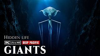 OCEAN GIANTS | The Hidden Giants of the Pacific Depths