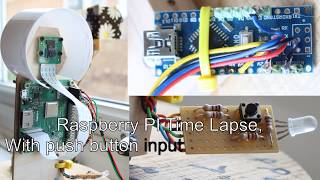 Raspberry pi time lapse of a bean growing.