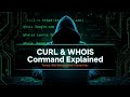 CURL & WHOIS Command Explained | Termux / Kali Nethunter Tutorial (Hindi + Roman Urdu)