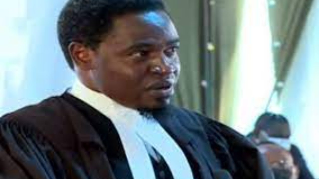 NELSON HAVI WOWS HUSTLER NATION AS HE MAKES POWERFUL SUBMISSIONS