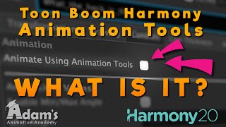 Don't make this mistake in Toon Boom Harmony! Animation Tools settings