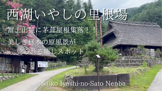 【観光 vlog】富士山近くにも白川郷があった!? 「西湖いやしの里根場」大切な日本の原風景をお届けします♪♪癒しスポット間違いなし！！