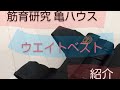 ウエイトベスト～自重トレーニング～