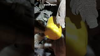 taurus waterpump leaking