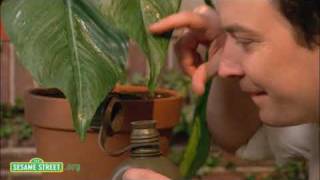 Sesame Street: Wild Nature Survivor Guy Trailer