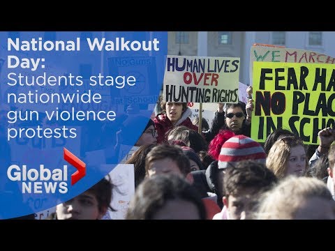 Students protest gun