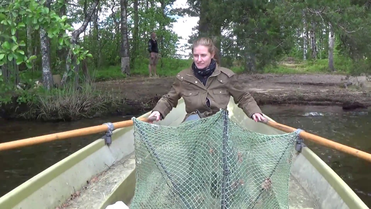 Setting up a Katiska Fish Trap