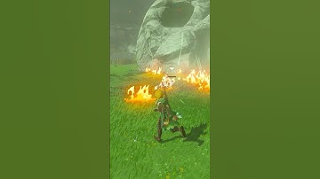 HILARIOUS RAGDOLL GLITCH in Tears of the Kingdom