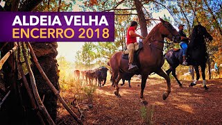 Aldeia Velha Encerro de Toiros 2018