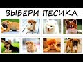 Тест! Какой мужчина вам подходит! Просто выбери песика! Тесты онлайн!