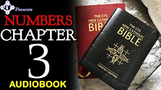 NUMBERS: CHAPTER 3 - AUDIOBOOK (The CTS New Catholic Bible)