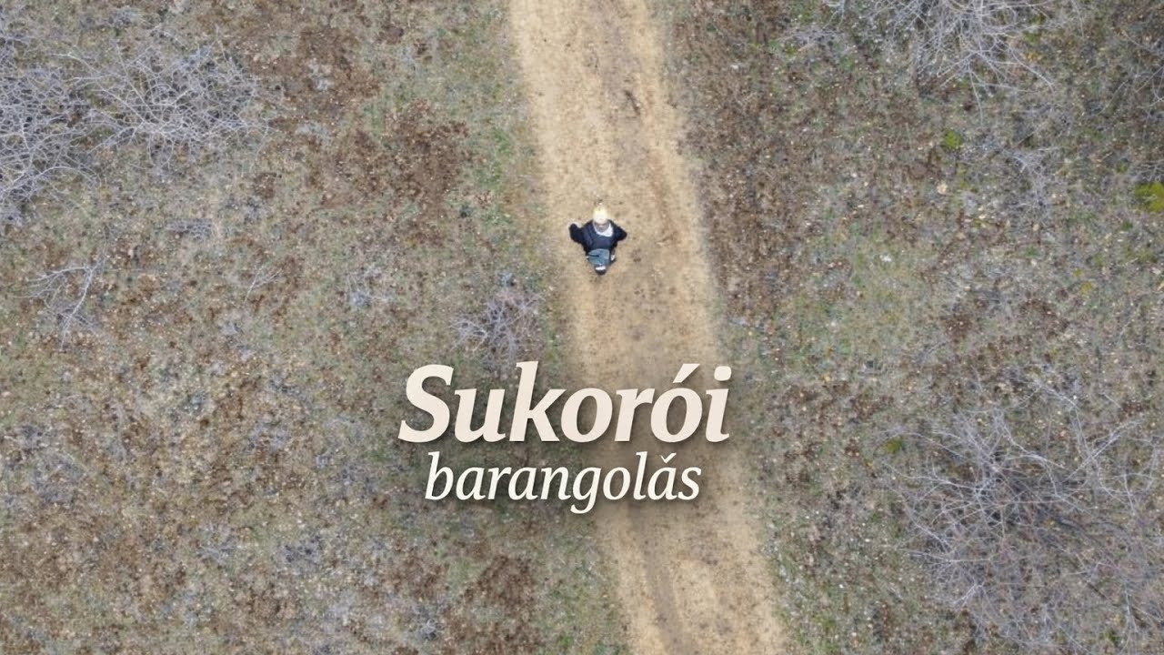 Sukorói Barangolás 
