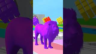 Funny Animals Dock Lion Comedy Video Short