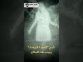 سر موت الكلاب على جسر أوفرتون سر موت الكلاب على جسر أوفرتون