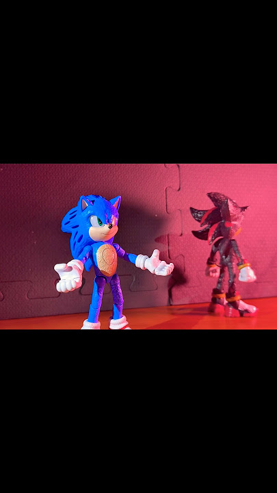 Sonic and shadow stop motion