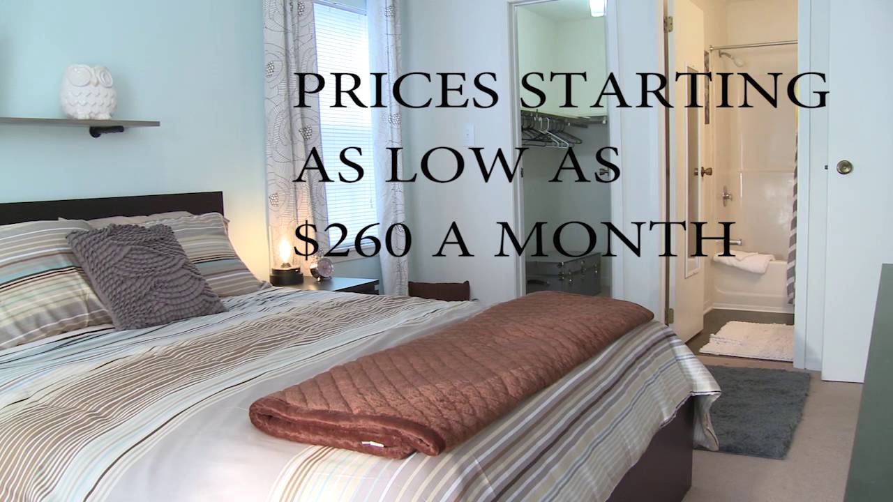 Silvertree Commercial