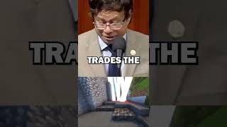 The Power Player Wealth Influence Stock Market Moves