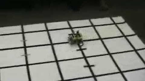 line/grid following robot