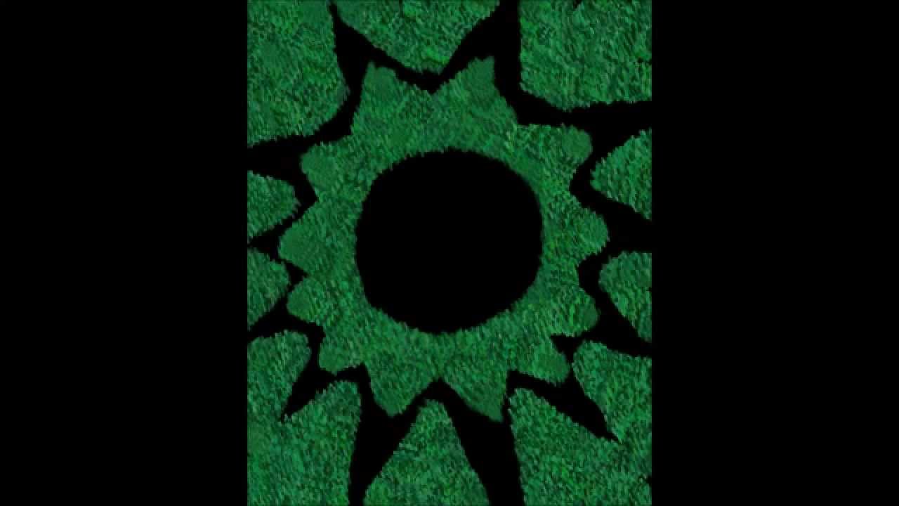 Accelerated Consciousness Chakra Healing and Cleansing by Roger