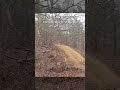 Rally car doing a Stoppie