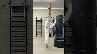 Taekwondo / Front Kick + Round Kick + Side  Kick