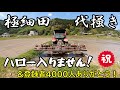 ハローが全開できない狭い田んぼを代掻きします。【Scratching a narrow rice field】