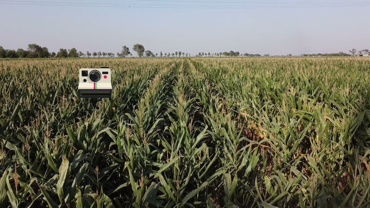 Drone Video Lodhran Punjab Pakistan | Drone Shots in 4K 2022