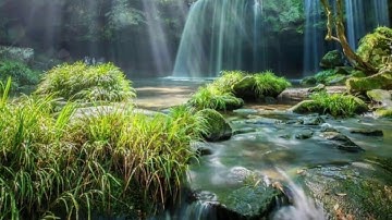 سورة التوبة من الآية (100 - 106) مكررة ثلاث مرات -الشيخ /ماهر المعيقلي