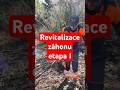 Revitalizace záhonu - likvidace uschlých keřů #zahrada #stihl #zahon #pracenazahrade #jaronazahrade