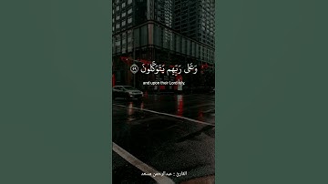 الذين صبروا وعلى ربهم يتوكلون | القارئ : عبدالرحمن مسعد |