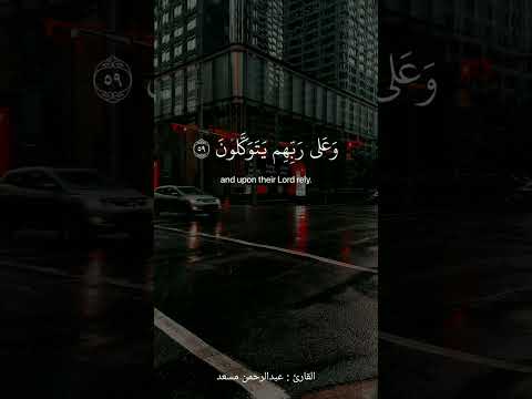 الذين صبروا وعلى ربهم يتوكلون القارئ عبدالرحمن مسعد