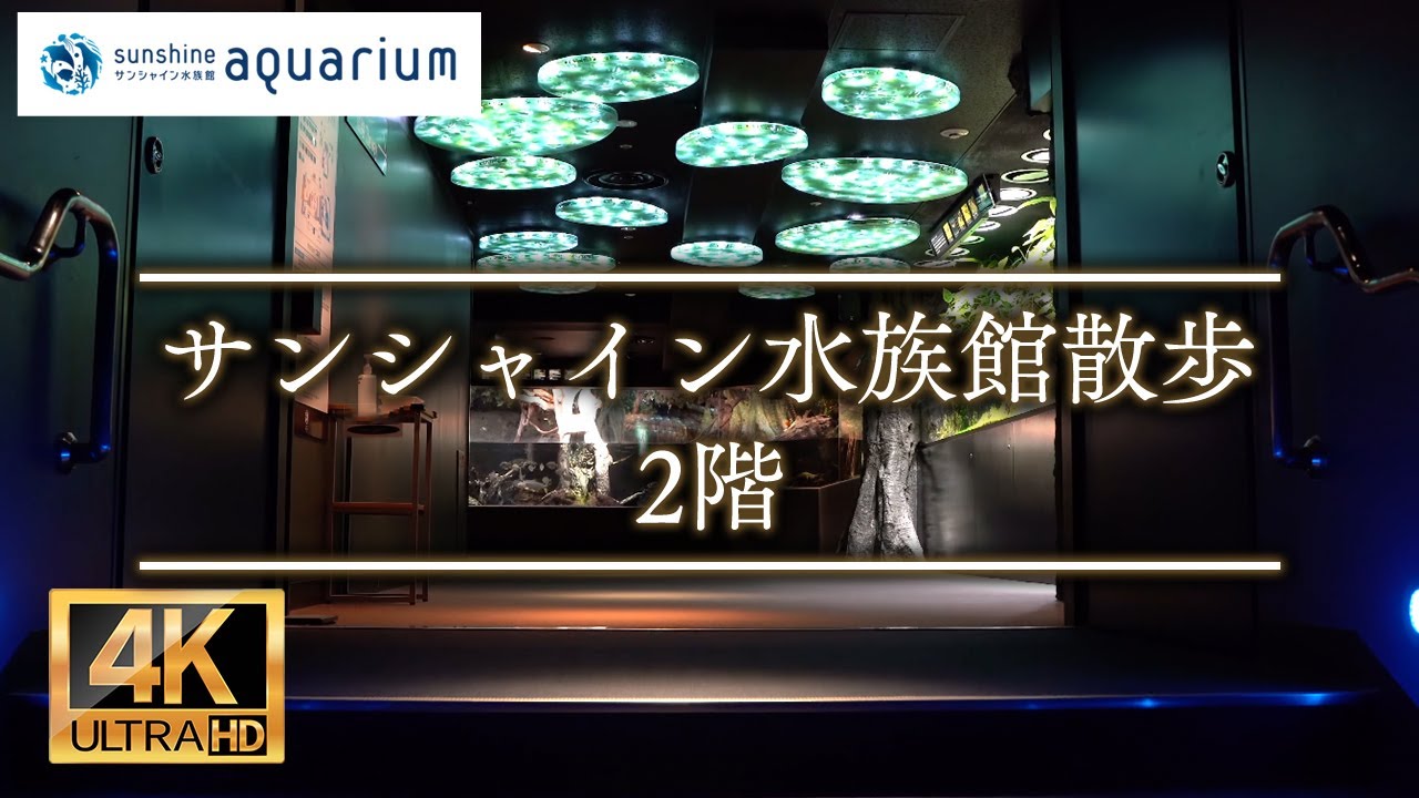 【4K】サンシャイン水族館 2階 Sunshine Aquarium Second Floor Tokyo Japan YouTube