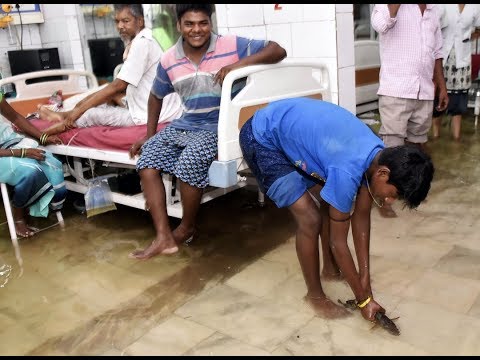 Des poissons nagent dans un hôpital ravagé par la mousson en Inde