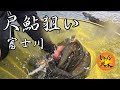 【鮎釣り】尺鮎狙い❗ 富士川