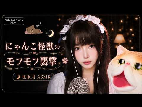 【睡眠用ASMR】にゃんこ怪獣の襲撃！？モフモフの癒やし音と囁きで朝までぐっすり 🐾🌙 #ASMR #睡眠用 #にゃんこ怪獣
