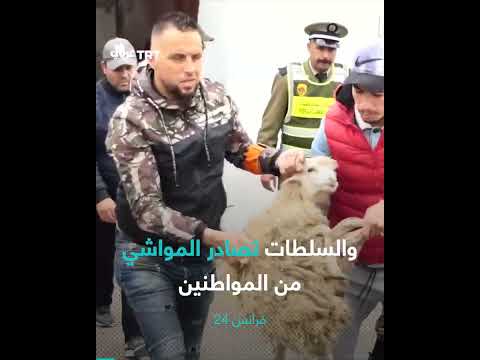منع ذبح الأضاحي في المغرب: أسباب القرار وتداعياته