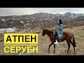 ҚАРАҒАЙЛЫ. АТПЕН СЕРУЕН. КОННАЯ ПРОГУЛКА КАРАГАЙЛЫ | VLOG THE AINURA