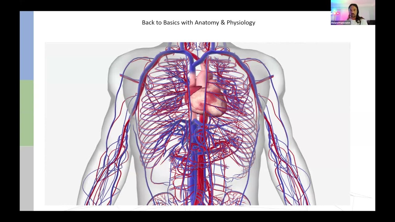 All things Nattokinase from U.S.Enzymes