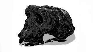 Sahelanthropus tchadensis skull