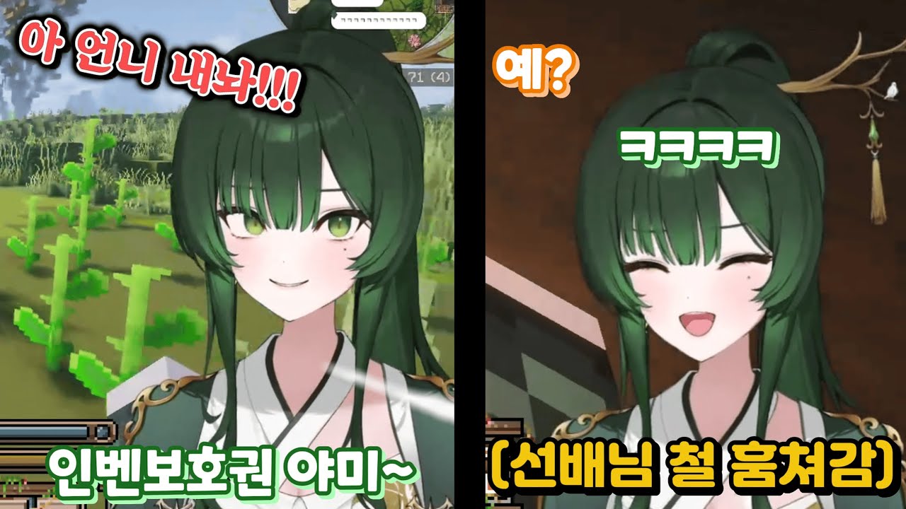 일단 뭐든지 훔치는 청목