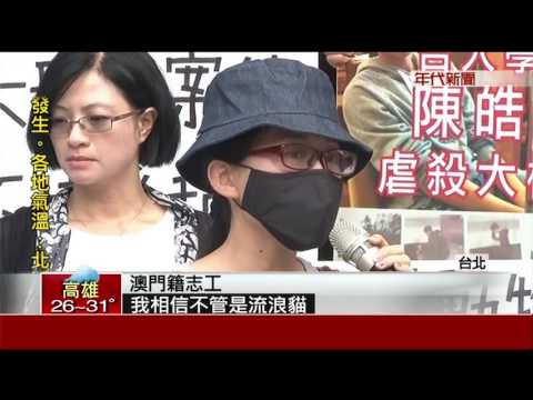 引公憤!陳皓揚殺貓交保   遭重拳勒脖拖出車外暴打
