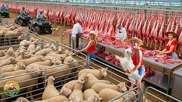 How Millions of Sheep Are Processed - Inside an Incredible Modern Sheep Processing Factory