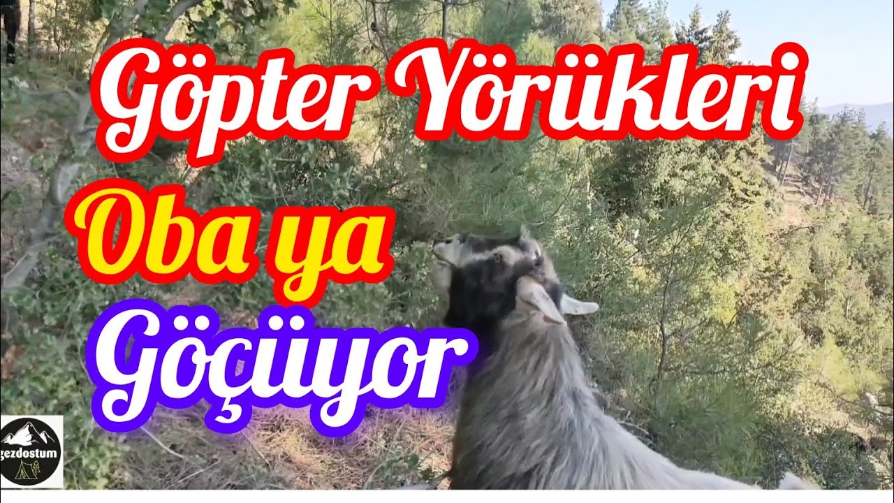 GÖÇEBE HAYATI-GÖPTER YÖRÜKLERİ KIRDAN OBAYA GÖÇÜYOR