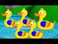 lima bebek kecil | lagu anak-anak | sajak bayi | Five Little Ducks | Rhymes For Kids | Baby Songs