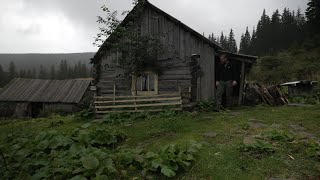 hiding in an abandoned log cabin from the rain , no one has lived here for 20 years