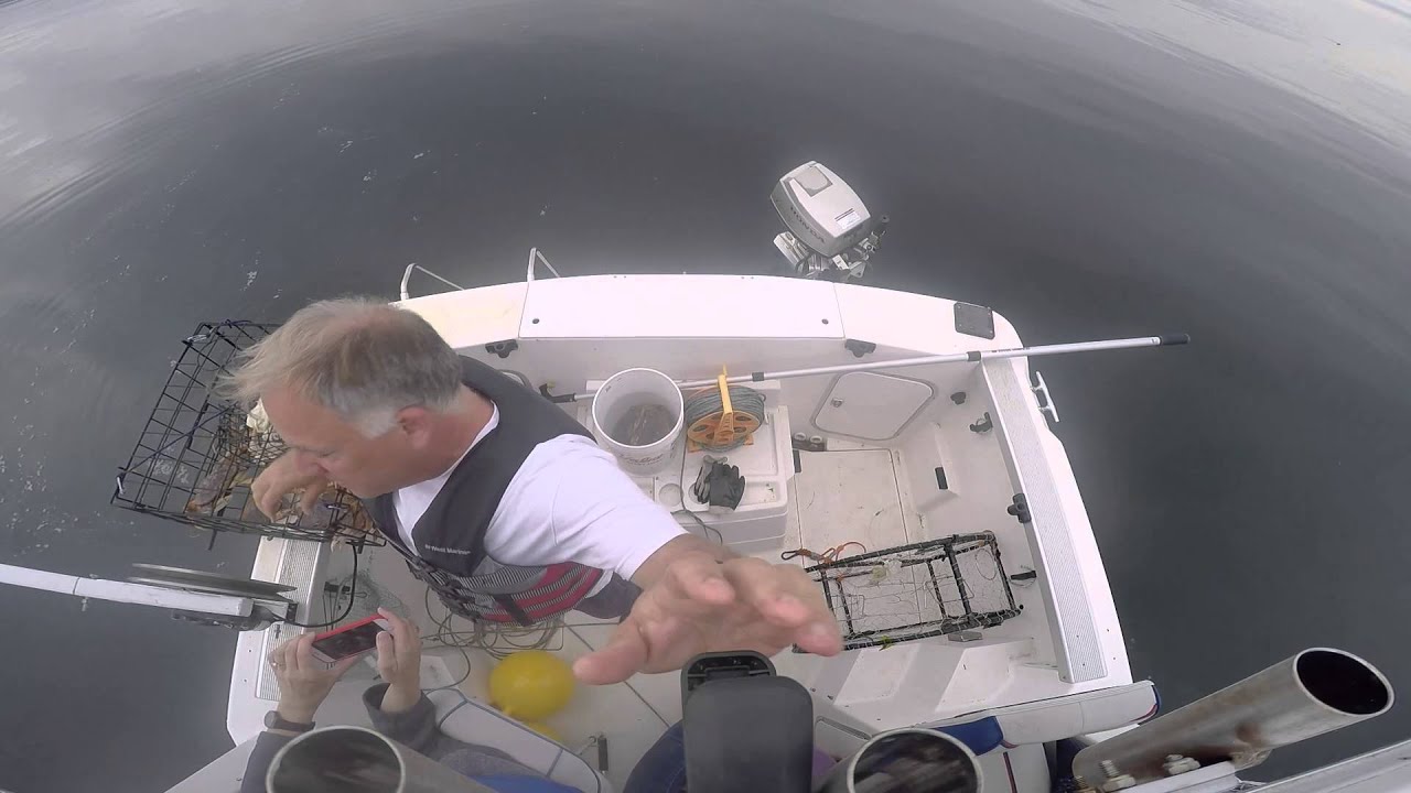 Crabbing in Discovery Bay in Washington State YouTube