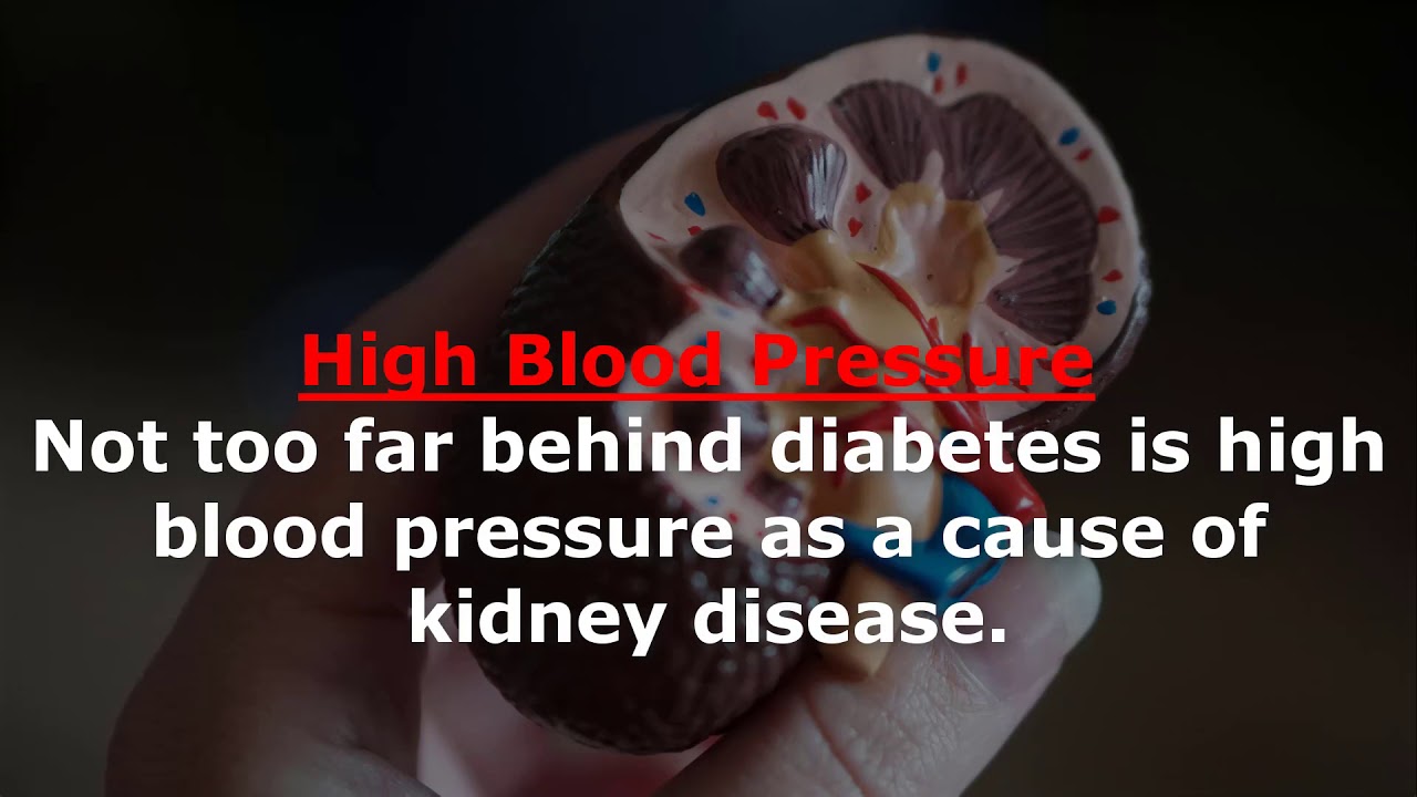 How To Protect Your Kidney Health Top 3 Causes Of Kidney Disease